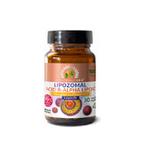 Lipozomale R-Alpha-Liponsäure, 30 pflanzliche Kapseln, Hypernatura