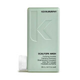 Sampon pentru scalp iritat Kevin Murphy Scalp.Spa Wash efect purificator 250 ml