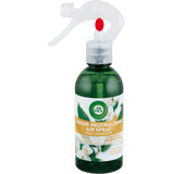 Airwick Spray odorizant pentru cameră jasmine, 237 ml