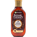 Botanic Therapy Şampon cu ghimbir organic şi miere, 250 ml