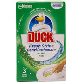 Duck Benzi parfumate pentru toaletă pin, 3 buc