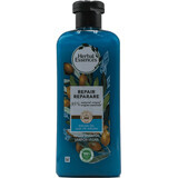 Herbal Essences Repairing Shampoo mit Arganöl, 400 ml