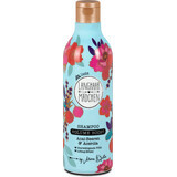 Langhaarmädchen Acai &amp; Acerola Fruit Volume Boost Shampoo, 300 ml