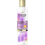 Pantene Silk and Glow Haarshampoo, 225 ml