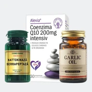 Sistema cardiovascolare