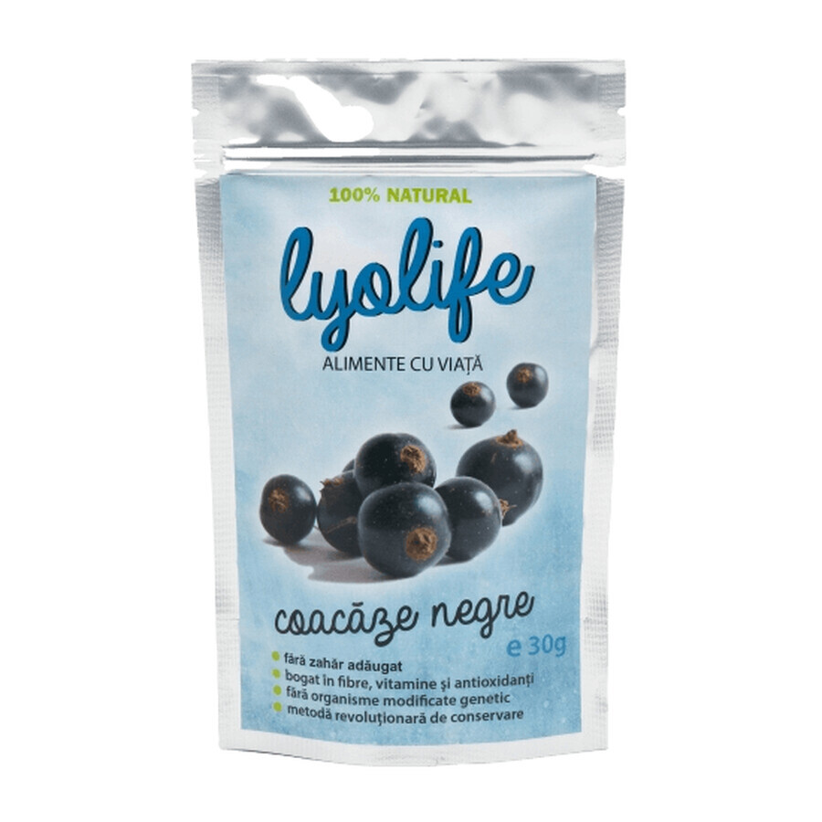 Lyolife gefriergetrocknete schwarze Johannisbeeren, 30 g, Lifesense