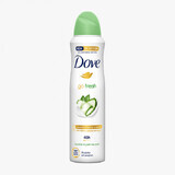 Deodorant für Frauen Gurke, 150 ml, Dove