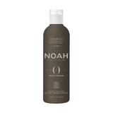 Sampon BIO purificator cu ulei esential de menta pentru par si scalp gras, Noah, 250 ml