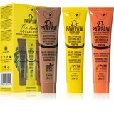 Set cadou balsamuri buze Nude Collection, Dr.PAWPAW, 3 x 25 ml