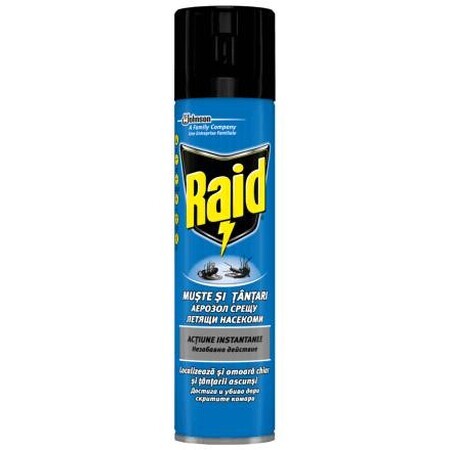 Raid Spray gegen Fliegen und Stechmücken, 400 ml