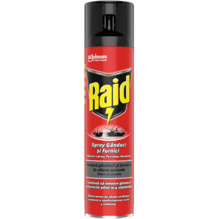 Raid Krabbelinsektenspray, 400 ml