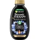 Garnier Botanic Therapy Shampoo Magnetic Charcoal &amp; black seed oil, 250 ml
