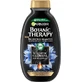 Garnier Botanic Therapy Shampoo Magnetic Charcoal &amp; black seed oil, 400 ml