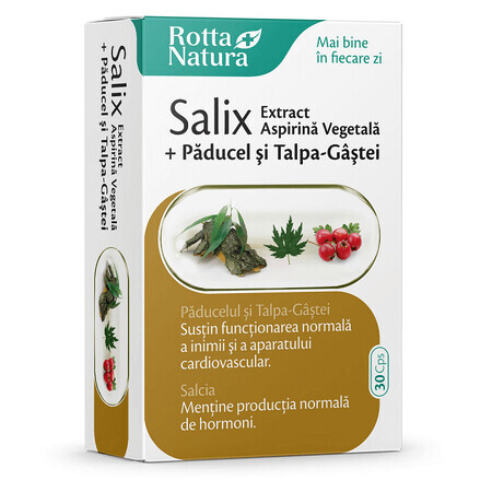 Salix-Extrakt mit Weißdorn und Gänsefuß, 30 Kapseln, Rotta Natura
