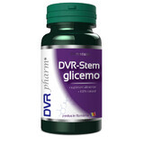 DVR Stem glicemo, 60 capsule, DVR Pharm