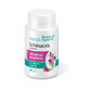 Echinacea extract, 30 capsule, Rotta Natura