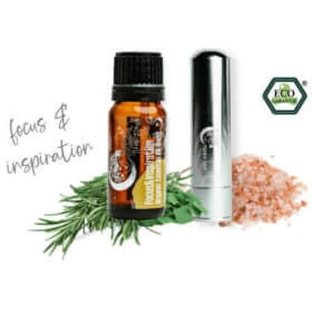 Terra Gaia Aroma Stick Konzentrations- und Insipirations-Set, 10 ml