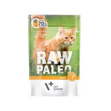 Katzennassfutter mit Putenfleisch für ausgewachsene Katzen Raw Paleo, 100 g, VetExpert