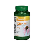 Echinacea-Extrakt 250 mg, 90 Kapseln, Vitaking