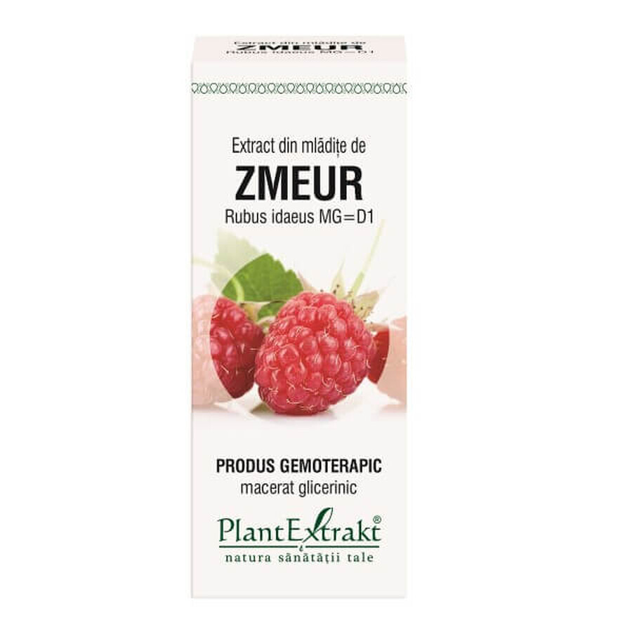 Zmeur Extrakt aus Himbeersprossen, 50 ml, Plant Extrakt