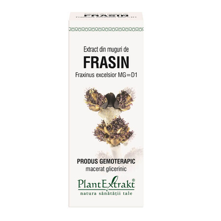 Frasin Knospenextrakt, 50 ml, Pflanzenextrakt