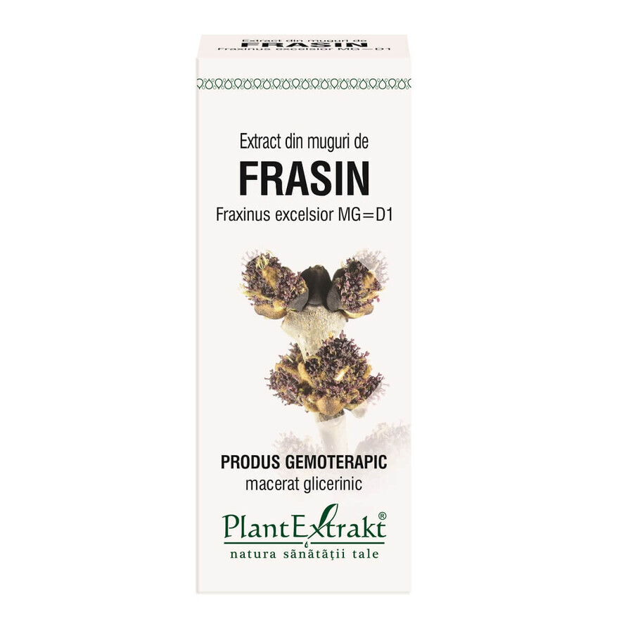 Frasin Knospenextrakt, 50 ml, Pflanzenextrakt