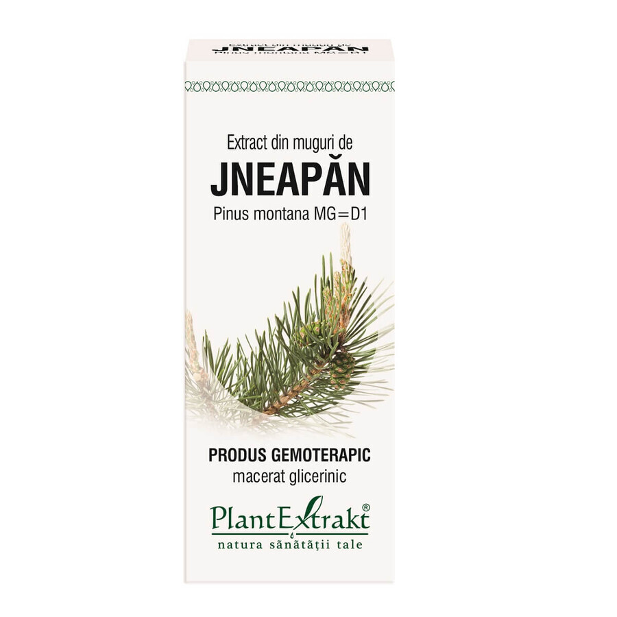 Jneapan Knospen-Extrakt. 50 ml, Pflanzenextrakt