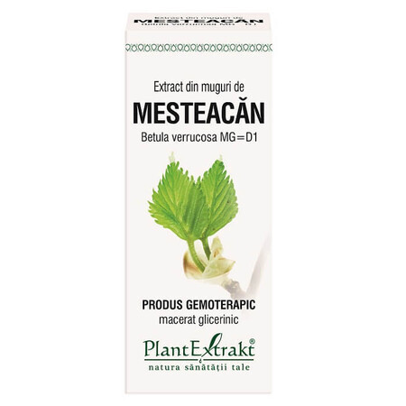 Extract din muguri de Mesteacăn Pufos, 50 ml, Plant Extrakt