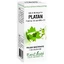 Extracto de yema de llantén, 50 ml, Plant Extrakt