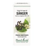 Extract din muguri de Sânger, 50 ml, Plant Extrakt