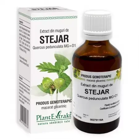 Oak bud extract, 50 ml, Plant Extrakt