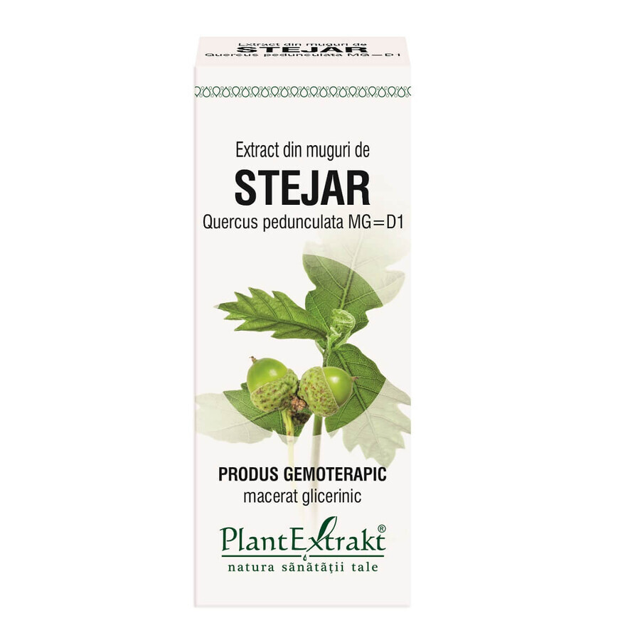 Extract din muguri de Stejar, 50 ml, Plant Extrakt