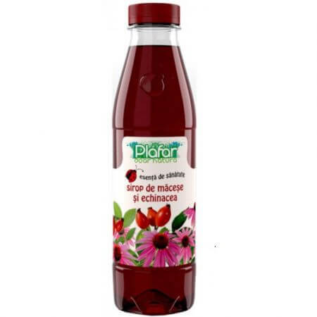 Sirup mit Makkabi und Echinacea, 500 ml, Plafar