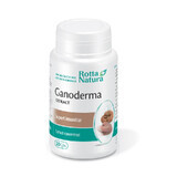 Extract Ganoderma, 30 capsule, Rotta Natura