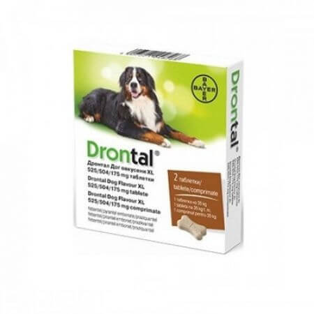 Antiparazitar intern pentru caini Drontal Dog Flavour XL, 2 comprimate, Bayer Vet