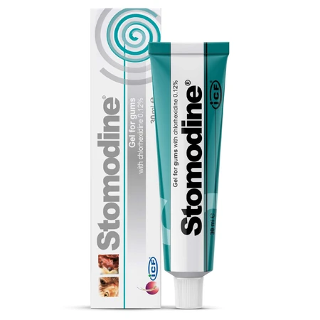 Antiseptische orale gel voor honden en katten Stomodine, 30 ml, ICF