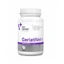 GeriatiVet Dog Large Breed 820 mg, 45 tabletek, VetExpert