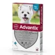 Bayer Animal health