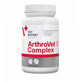 Supliment pentru functionarea normala a cartilajelor si articulatiilor la caini Arthrovet Complex, 60 tablete, VetExpert