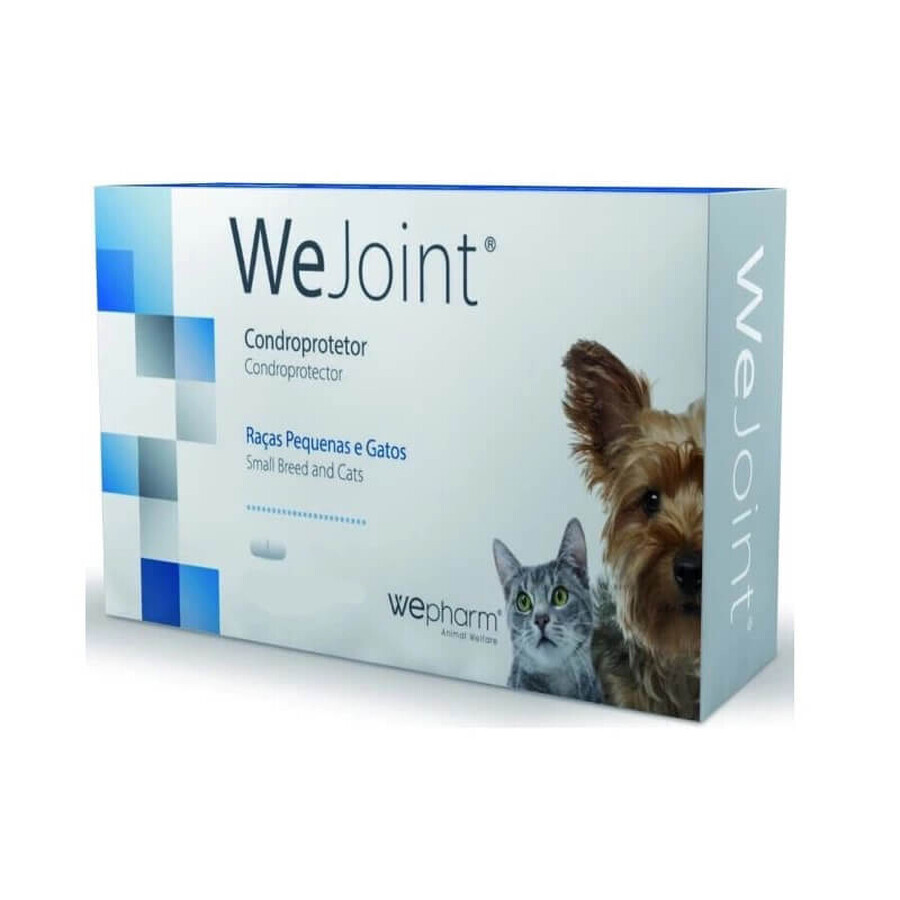 Gelenkergänzung für kleine Hunde und Katzen WeJoint, 120 Tabletten, WePharm