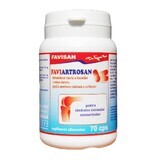 Faviartrosan, 70 capsule, Favisan