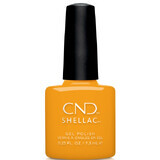 CND Rise and Shine Shellac Semi-Permanent Nagellack Among the Marigolds 7.3ml