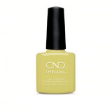 CND Rise and Shine Shellac Mind Over Matcha Vernis à ongles semi-permanent 7.3ml