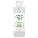 Demachiat spumant pentru toate tipurile de ten Gentle Foaming Cleanser, 117 ml, Mario Badescu