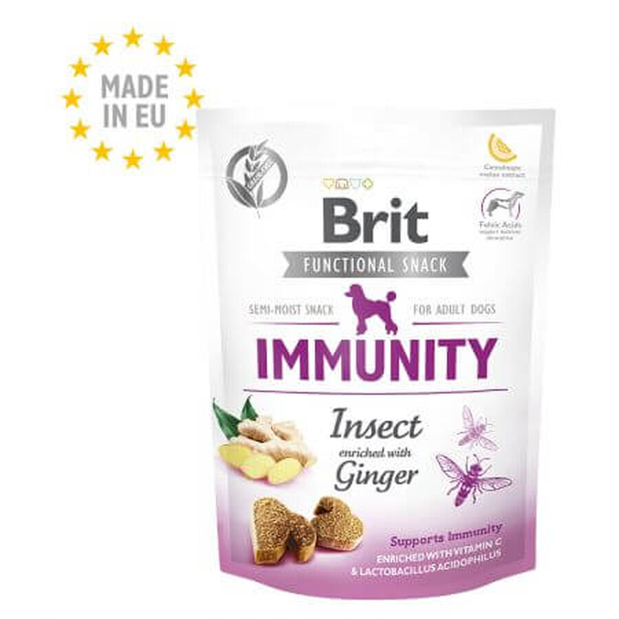 Insekt und Ingwer Snack für Hunde Immunität, 150 g, Brit