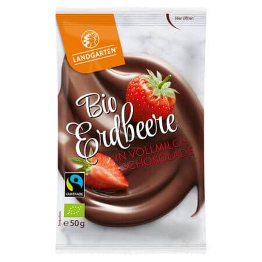 Fragole ricoperte di cioccolato al latte, 50 g, Landgarten