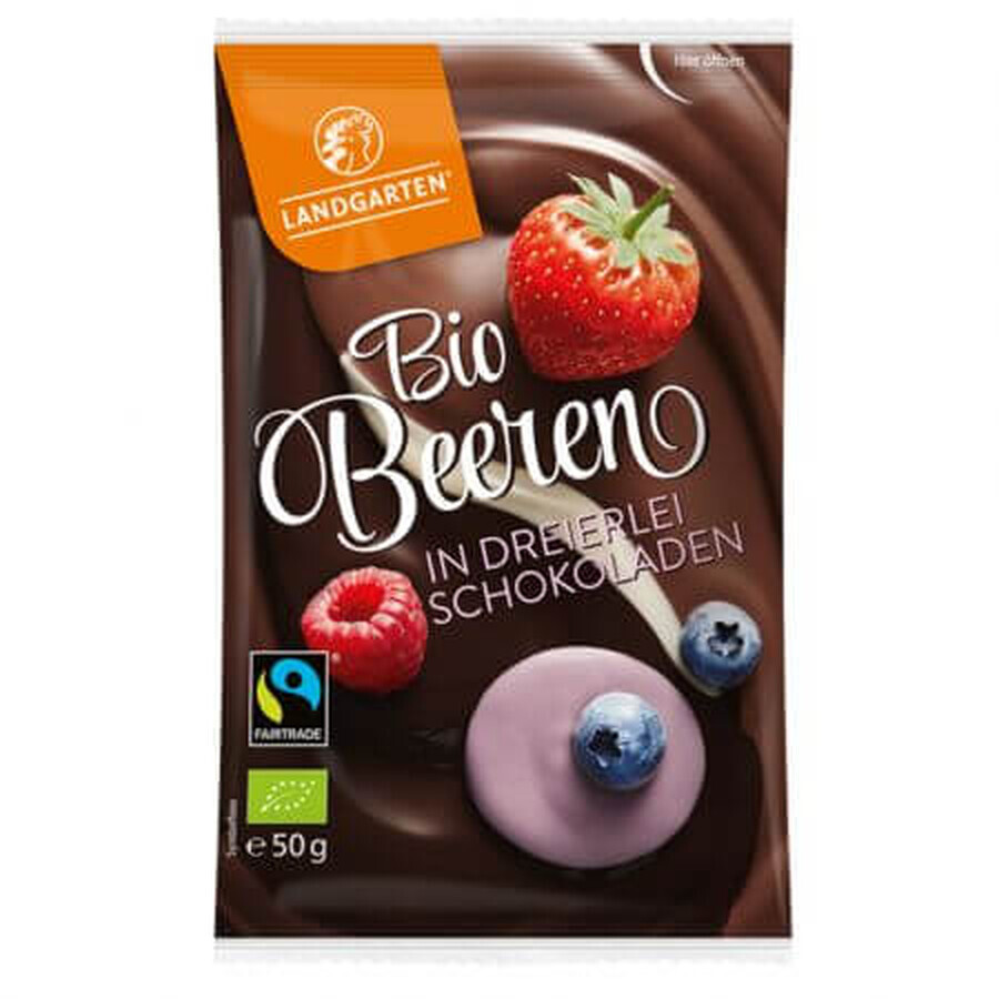 Frutti di bosco in mix di cioccolato Bio, 50g, Landgarten