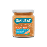 Bio-Futter mit Lachs, Erbsen und braunem Reis, +10 Monate, 230 g, Smileat