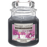 Yankee Candle Duftkerze Mitternachtsmagnolie, 104 g