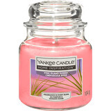 Yankee Candle Duftkerze rosa Insel, 104 g